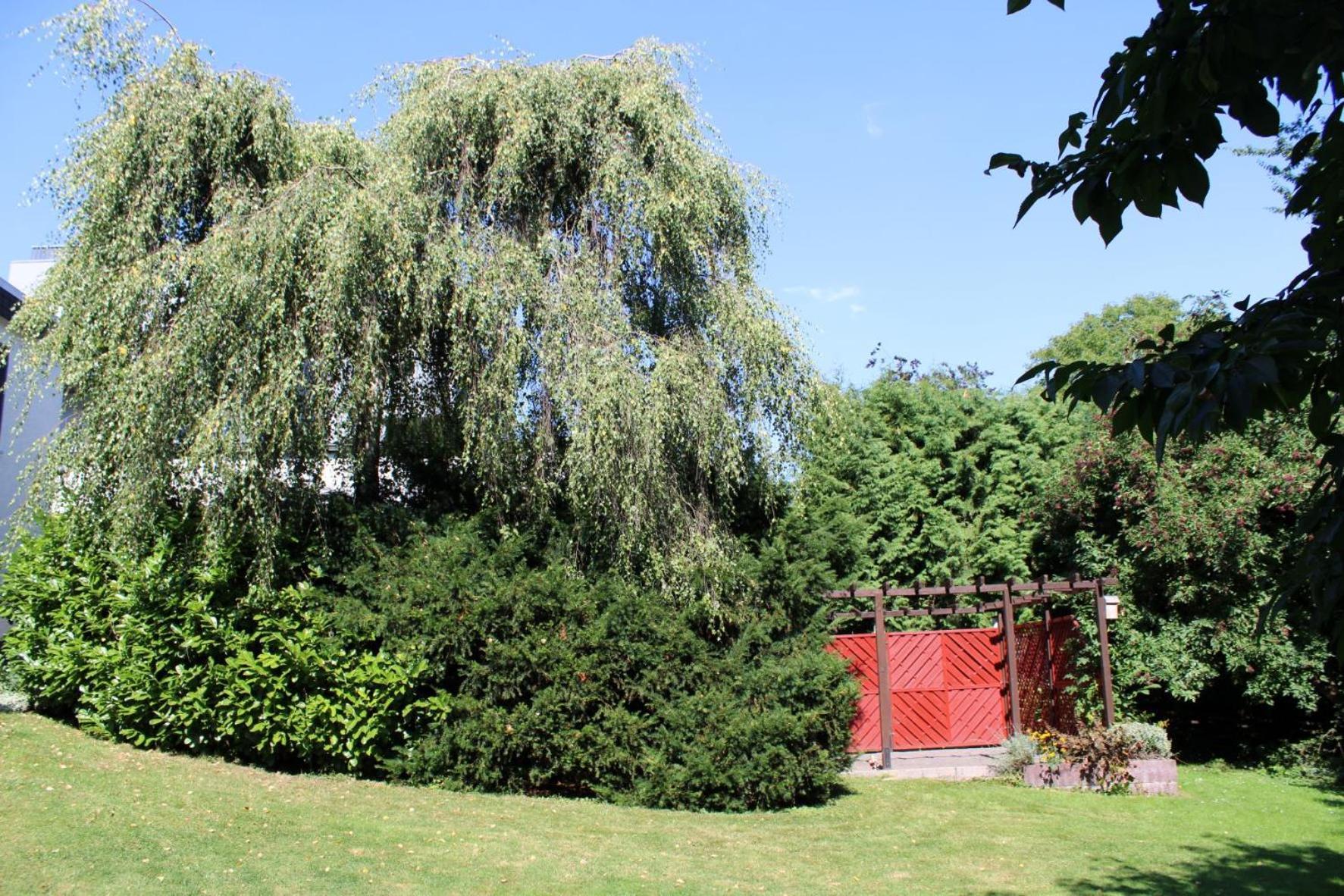 Ferienwohnung Moehneblick Möhnesee Exterior foto